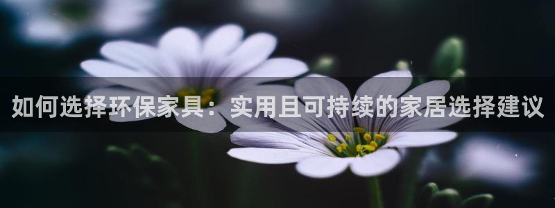 沐鸣2app怎样申请