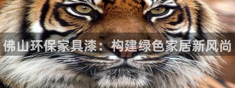 沐鸣2平台登录网站：佛山环保家具漆：构建绿色家居新风尚