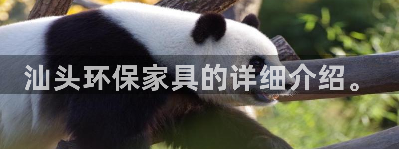 沐鸣2平台代理怎么赚钱快：汕头环保家具的详细介绍。