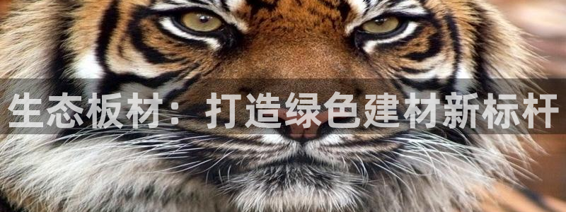 沐鸣2平台代理怎么赚钱的：生态板材：打造绿色建材新标杆